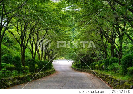 Green approach to the dam 129252158