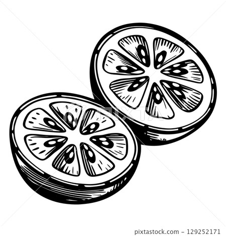 Lemon halves illustration detailed black and white citrus fruit cross section, hand drawn vintage botanical art, AI Generative 129252171