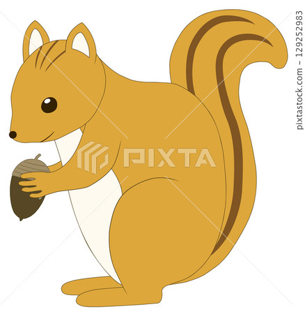 Squirrel with acorn 129252983