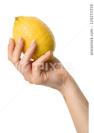 Hand presenting bright yellow lemon isolated on transparent background, sour citrus ingredient 129253359