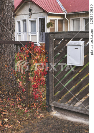 Wooden gate with diagonal planks stands beside tree and red vine, gate features white mailbox, gate opens into peaceful yard leading toward small house with white walls and metal roof Wooden gate with diagonal planks stands beside tree and red vine, gate features white mailbox, gate opens into peaceful yard leading toward small house with white walls and metal roof 129253989