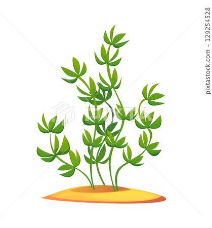 Sea and ocean coral reef underwater cartoon seaweed algae. Tropical sea isolated vector water algae, aquarium plant with green leaves. Coral reef underwater seaweed or ocean undersea aquatic flora Sea and ocean coral reef underwater cartoon seaweed algae. Tropical sea isolated vector water algae, aquarium plant with green leaves. Coral reef underwater seaweed or ocean undersea aquatic flora 129254528
