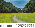 sunflower path 129254551