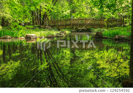 Tenpyonooka Park Tenpyonooka Park 129254592