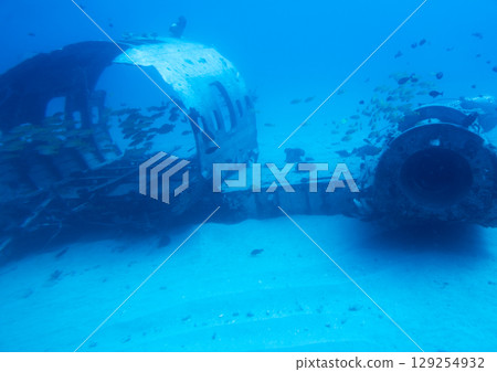 A sunken plane and sea creatures in the blue sea A sunken plane and sea creatures in the blue sea 129254932