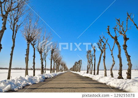 Manganji Temple Hasagi in winter (Niigata Prefecture) 129255078