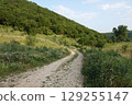 A winding dirt road meanders through a lush green landscape, climbing towards a forest-covered hillside under a blue sky. 129255147