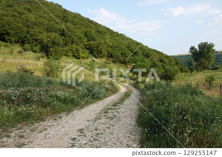 A winding dirt road meanders through a lush green landscape, climbing towards a forest-covered hillside under a blue sky. 129255147