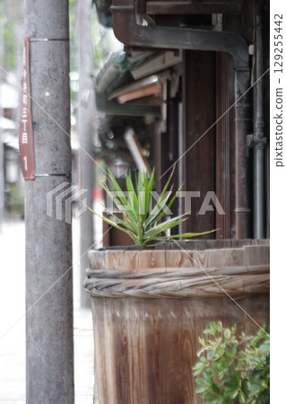 Old townscape of Imaicho, Kashihara City, Nara Prefecture Old townscape of Imaicho, Kashihara City, Nara Prefecture 129255442