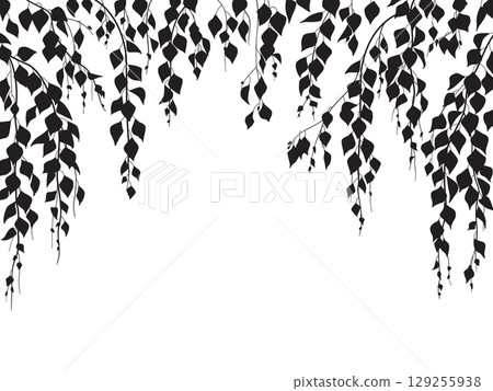Vector Background with Weeping Birch Branches Silhouette. 129255938