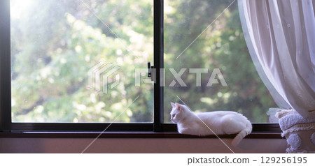 Window sill with cat 129256195