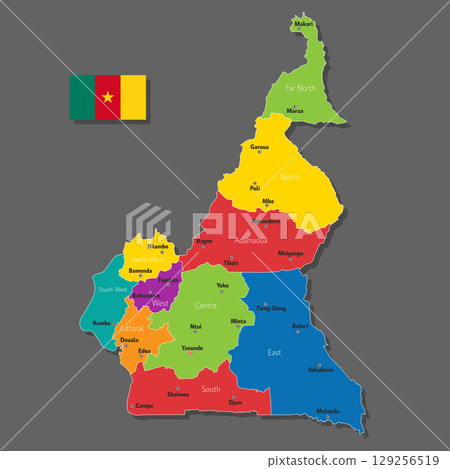 Vector map of Cameroon 129256519