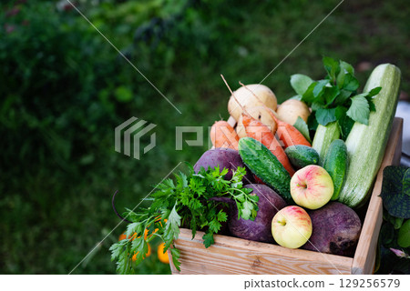 Freshly harvested vegetables and fruits collected in a wooden crate in a lush garden Freshly harvested vegetables and fruits collected in a wooden crate in a lush garden 129256579