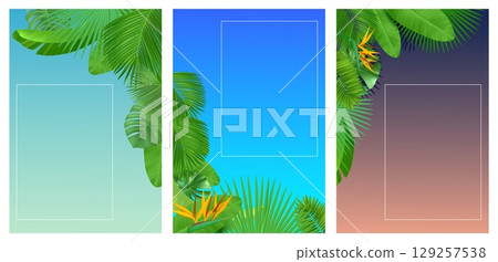 Summer morning, afternoon and evening backgrounds with tropical palm leaves. Jungle plants foliage frame. Night sky. Forest greenery. Empty border. Vector summertime travel banners set Summer morning, afternoon and evening backgrounds with tropical palm leaves. Jungle plants foliage frame. Night sky. Forest greenery. Empty border. Vector summertime travel banners set 129257538