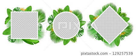 Summer tropical leaves and flowers around frames with transparent backgrounds. Botanical square and round borders. Forest natural foliage. Realistic palm fronds. Vector blank banners set 129257539
