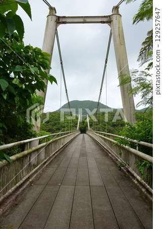 沖繩縣立斑納公園吊橋、青鹿橋 129257647