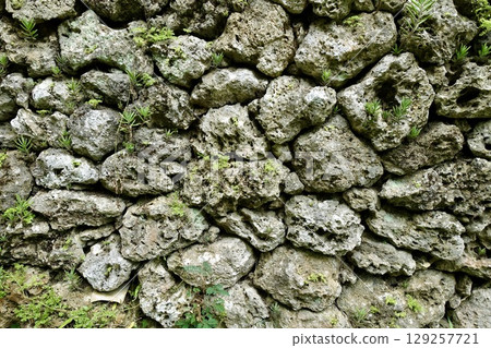 沖繩縣石垣島古石牆、古都原遺址 129257721