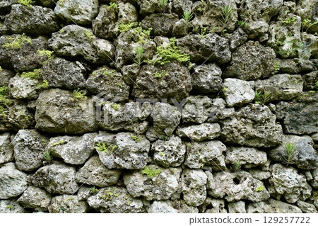 沖繩縣石垣島古石牆、古都原遺址 129257722