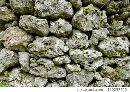 沖繩縣石垣島古石牆、古都原遺址 129257723