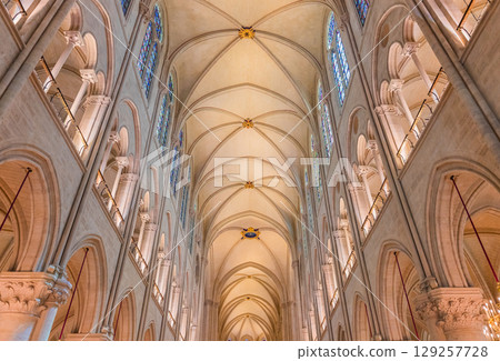 Notre-Dame cathedral, central nave, Paris, France 129257728