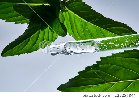 A pipette with a drop of serum in refreshing mint leaves. 129257844