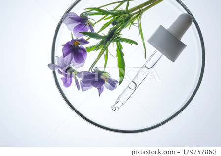 Pansies are lying next to a cosmetic pipette with serum in a petri dish. Pansies are lying next to a cosmetic pipette with serum in a petri dish. 129257860