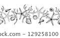 Black and white seamless marine border. Vector illustration features detailed starfish, seashells and coral branches arranged in a seamless coastal theme. Ideal for beach themed designs, invitations. 129258100