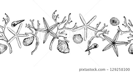 Black and white seamless marine border. Vector illustration features detailed starfish, seashells and coral branches arranged in a seamless coastal theme. Ideal for beach themed designs, invitations. 129258100