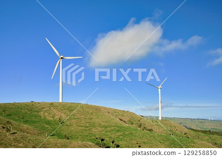 New Zealand Wind Farm Landscape 129258850
