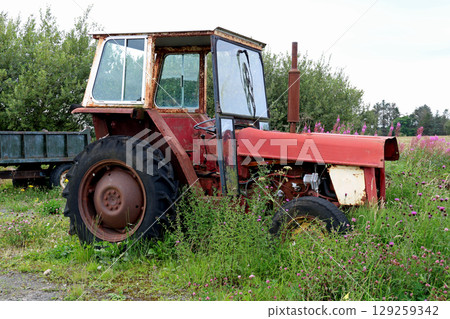 Old Abandoned and Derelict Tractor in an Overgrown Farm Yard Location Old Abandoned and Derelict Tractor in an Overgrown Farm Yard Location 129259342