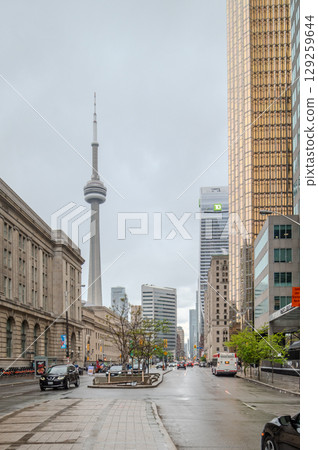 Toronto city skyline in summer, Toronto, Canada 129259644