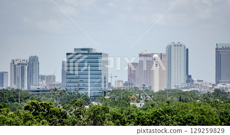 tampa florida city skyline above tree line tampa florida city skyline above tree line 129259829