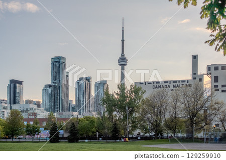 Street view in Toronto downtown, Ontario, Canada 129259910