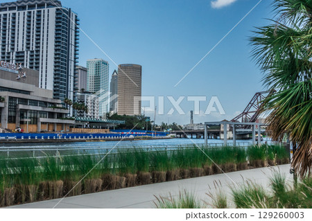 summer views of tampa florida city skyline summer views of tampa florida city skyline 129260003