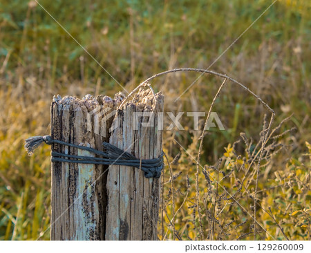 fence post 129260009