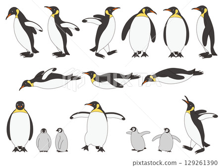 Set of illustrations of emperor penguins in various poses_with main lines 129261390