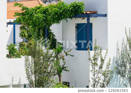 Exploring a charming white and blue resort interior in Greece with vibrant foliage 129261563