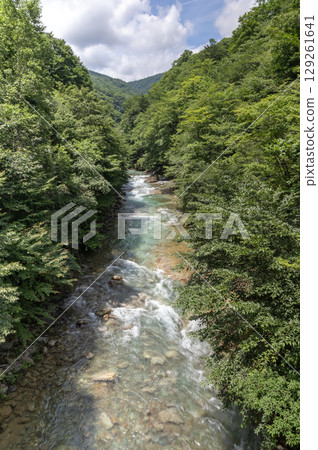 Shirasagi River valley surrounded by lush greenery in summer Shirasagi River valley surrounded by lush greenery in summer 129261641