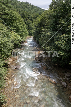 Shirasagi River valley surrounded by lush greenery in summer Shirasagi River valley surrounded by lush greenery in summer 129261642