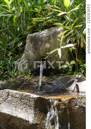 Spring water on the hiking trail 129261653