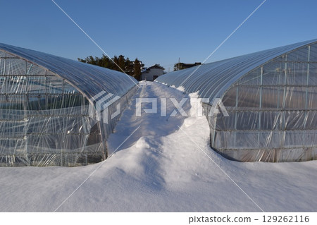 大雪地區乙烯基溫室 129262116