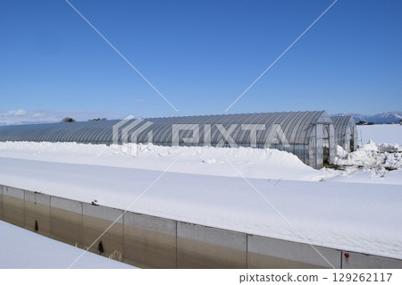 大雪地區乙烯基溫室 129262117