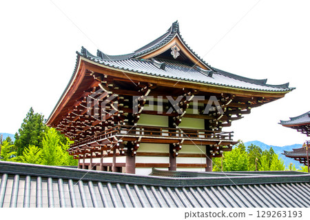 Echizen Daibutsu Echizen Daibutsu 129263193