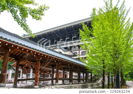 Echizen Daibutsu 129263234