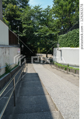 The slope of Inokashira Park 129263278