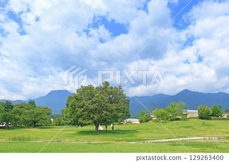 Summer Azumino Chihiro Park 129263400