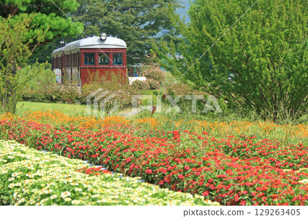 Summer Azumino Chihiro Park Summer Azumino Chihiro Park 129263405
