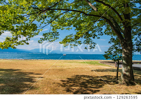 Summer scenery at Otsu Nagisa Park on Lake Biwa, Otsu City, Shiga Prefecture Summer scenery at Otsu Nagisa Park on Lake Biwa, Otsu City, Shiga Prefecture 129263595