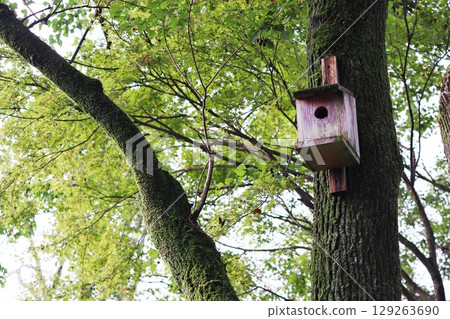 Birdhouse in the park 129263690