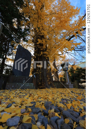 Autumn sky and autumn leaves Autumn sky and autumn leaves 129263701